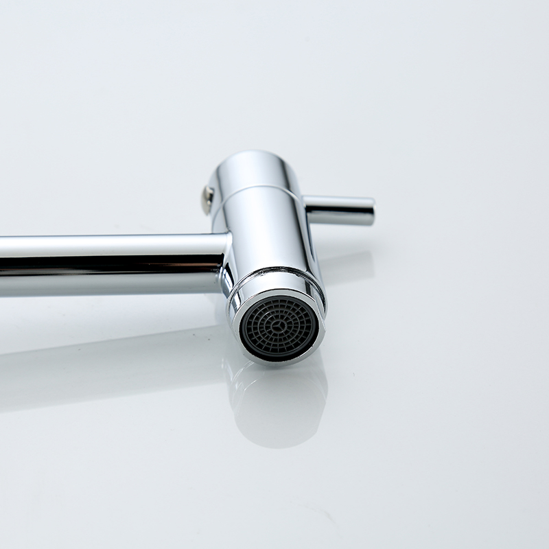 313 Luxus Ein-Griff-Antik-Becken Wasserhahn 304 Edelstahl Wasserhahn für Kaltwasser Messing Ventilkern für Villen